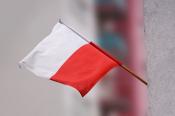 Powiat Polkowicki: Rozdajemy flagi